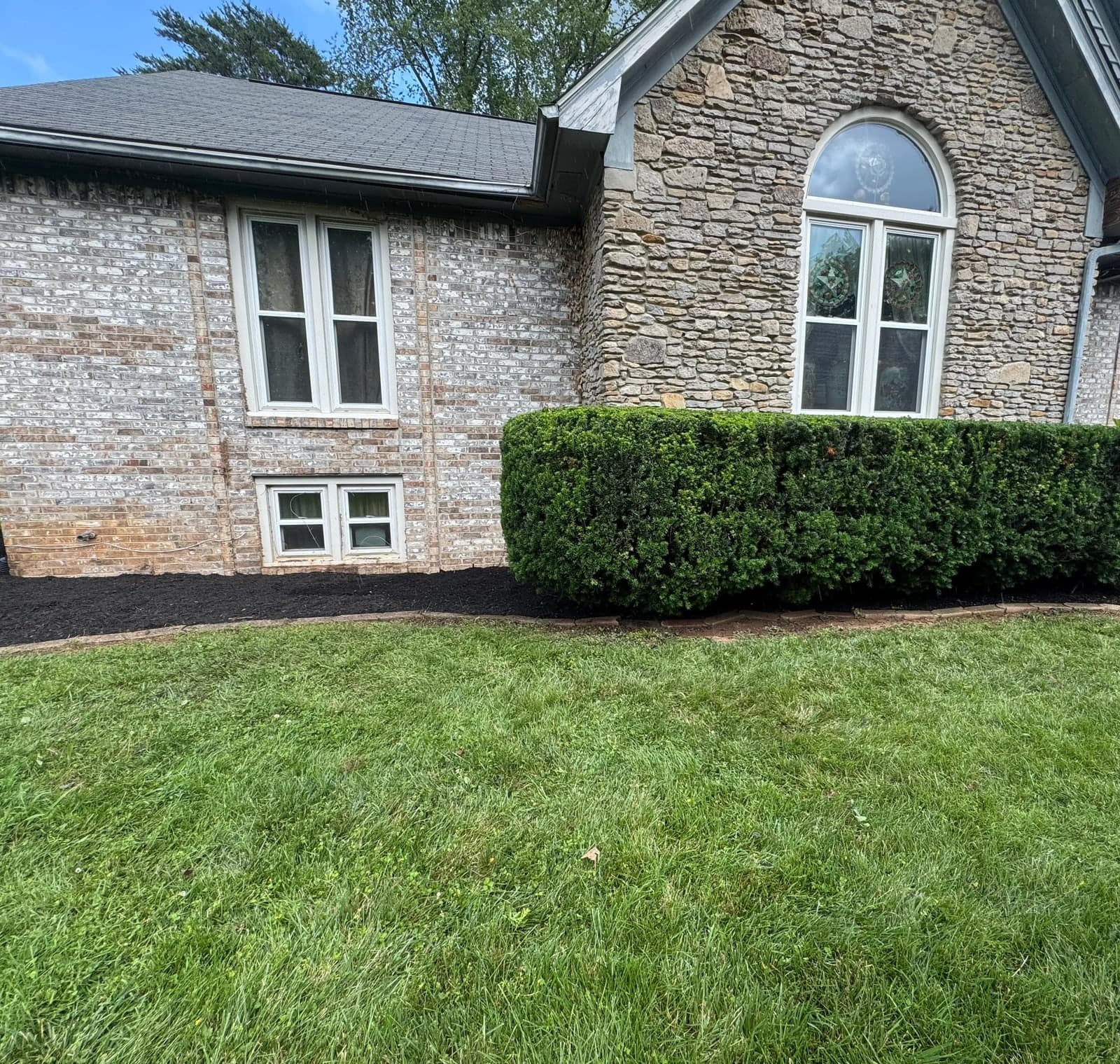 Squared hedge and edged mulch bed in front of a stone home