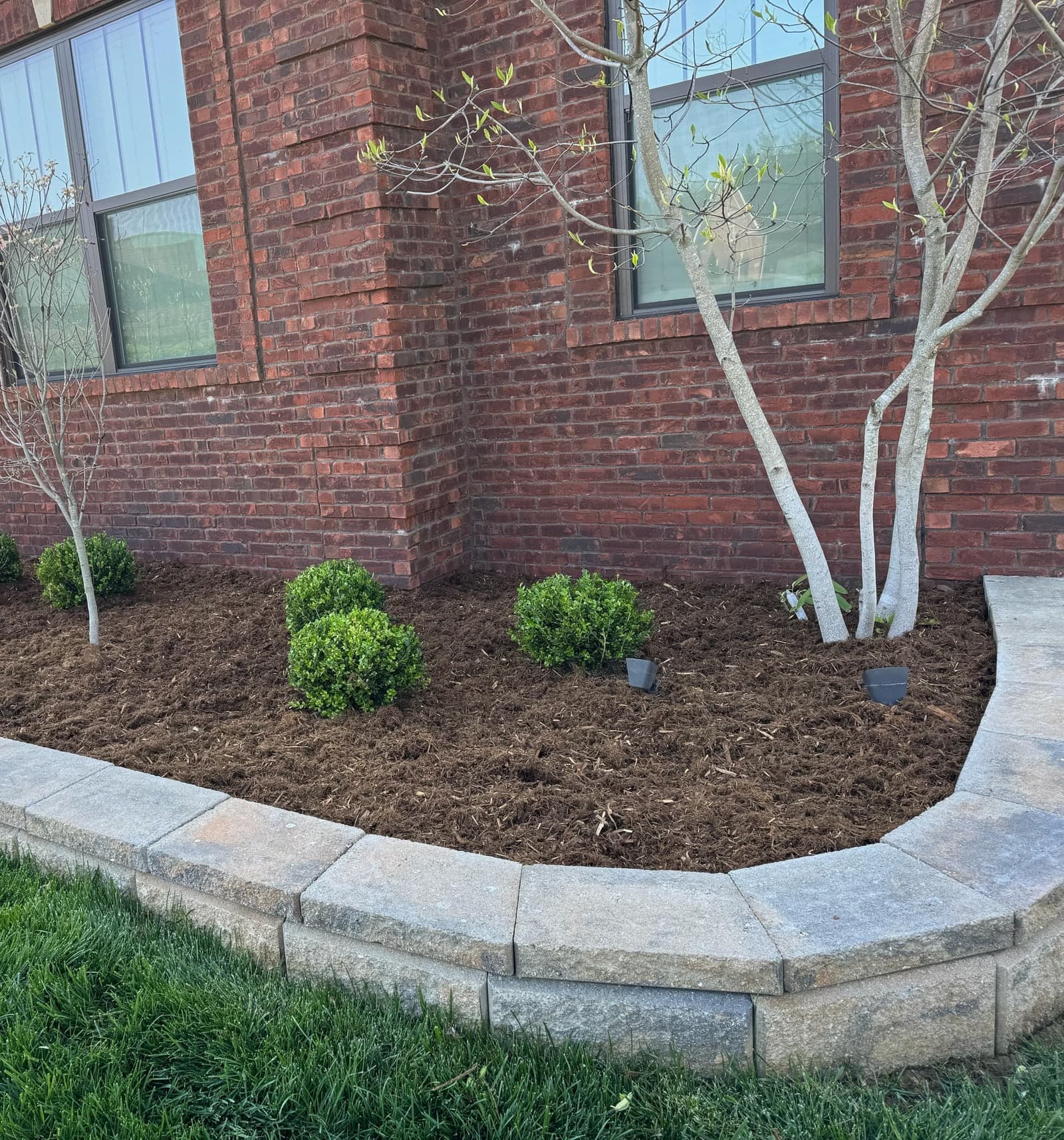 Raised bed with a stone block wall, fresh mulch and boxwoods against a brick home