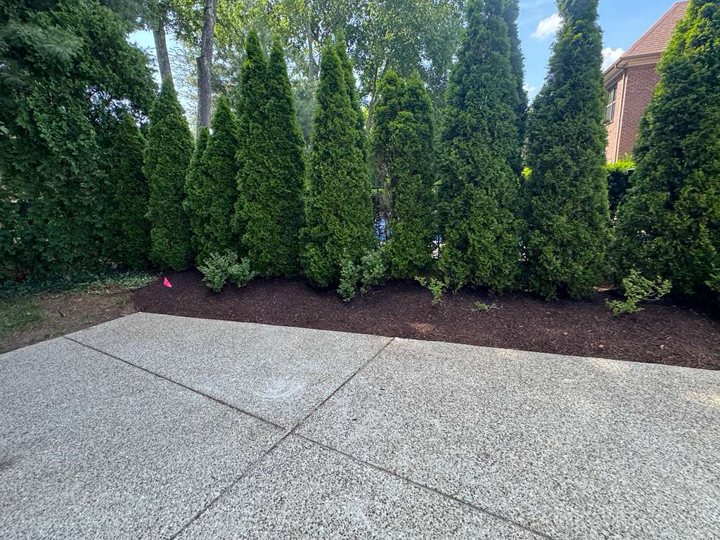 Shrub pruning service